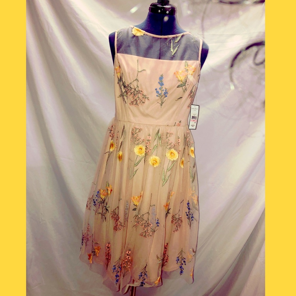 Jessica Howard Blush Flower Dress NWT Size 10P